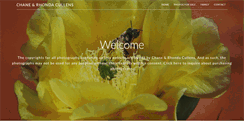 Desktop Screenshot of ccullens.com